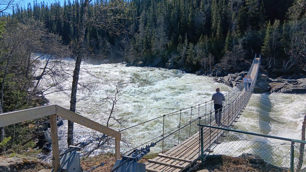 Foto: Karin Hellmark