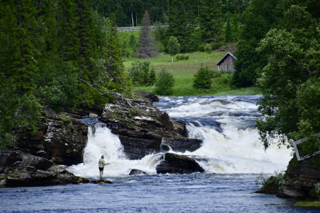 Foto: Karin Hellmark