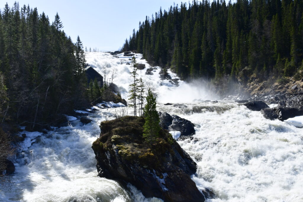 Foto: Karin Hellmark