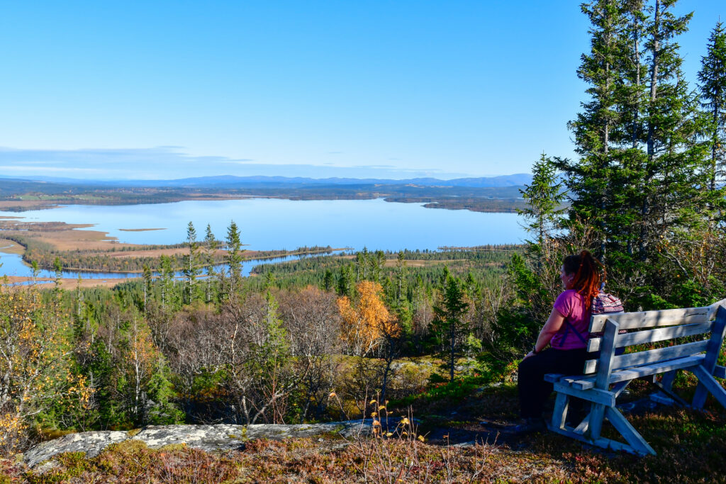 Foto: Karin Hellmark